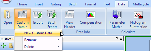 图T17.23  Selecting the New Custom Data Command (选择新建自定义数据命令)