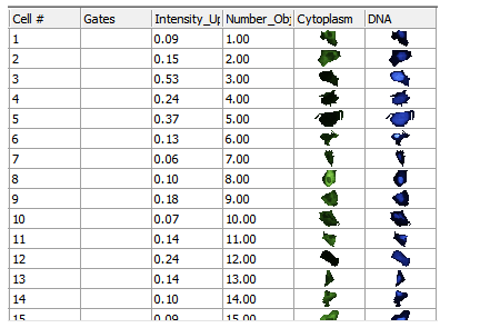 图T26.21 Data Grid Displaying the Chosen Parameters, Individual Cell Images, and a Column for Gates (数据网格显示选中的参数、细胞图像以及“门”列)