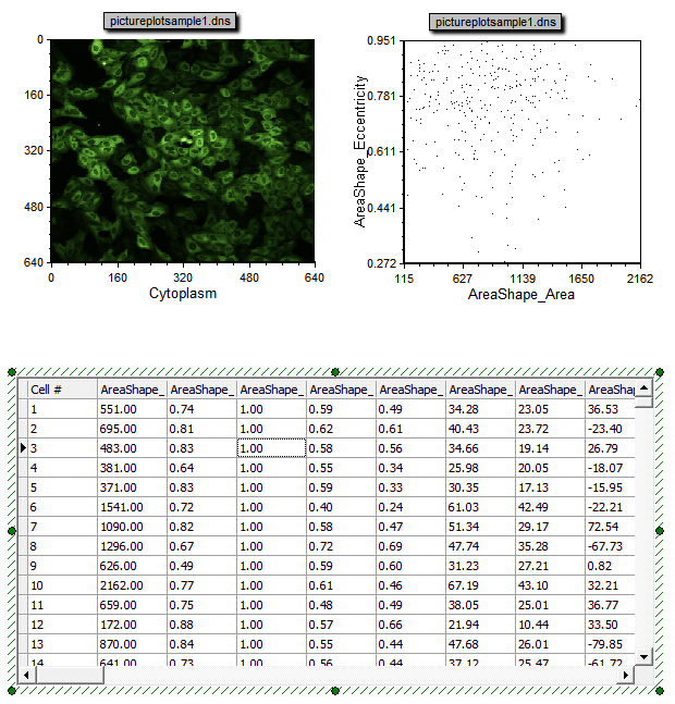 图T26.19 A Picture Plot, Data Grid, and Color Dot Plot Arranged on the Layout for Analysis (版面上的图像绘图、数据网格以及彩色点状图)