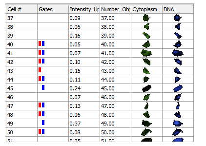 图T26.23 Data Grid Displaying Dot Plot and Picture Plot Gates as Colored Rectangular Boxes (数据网格把点状图和图像绘图门显示为彩色矩形)