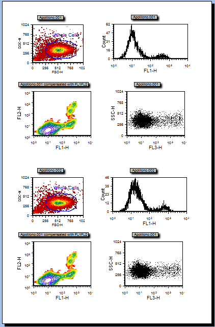图T12.1  Page 1 of the Data Navigator Layout (DataNavigator.fey) (数据导航器版面(DataNavigator.fey)的第1页)