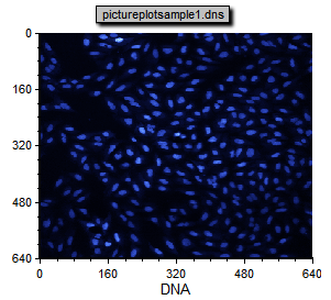 图T26.6  The DNA Image Channel Associated with pictureplotsample1.dns (与pictureplotsample1.dns相关的DNA图像通道)