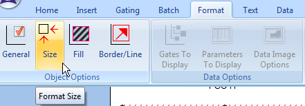 图T10.15  Selecting the Format Size Command (选择格式化尺寸命令)