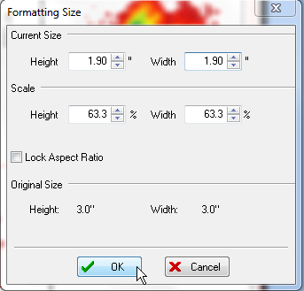 图T10.16  Formatting Size Dialog (格式化尺寸对话框)