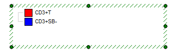 图T20.9A  Initial Gate View Window (开始时的门视图窗口)