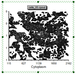 图T24.23  Example of the Cells (5 Minute Time Point) Picture Plot (细胞(5分钟时间点)图片绘图实例)