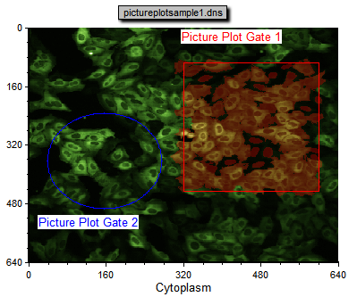 图T26.13  Picture Plot Highlighting Only Cells Found Within Picture Plot Gate 1 (图像绘图仅仅高亮显示在图像绘图门1中的细胞)
