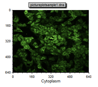 图T26.2  Picture Plot for pictureplotsample1.dns Inserted in the Layout (插入到版面中的pictureplotsample1.dns文件对应的图像绘图)