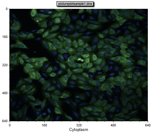图T26.7  Picture Plot Overlay Displaying the Cytoplasmic and DNA Channels as a Merged Image (把细胞质和DNA通道作为一个合并图像显示出来的图像绘图叠加图层)