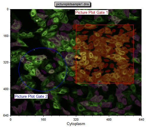 图T26.16  Picture Plot Displaying the Dot Plot Gated Cells in Purple (把点状图门中的细胞显示为紫色的图像绘图)