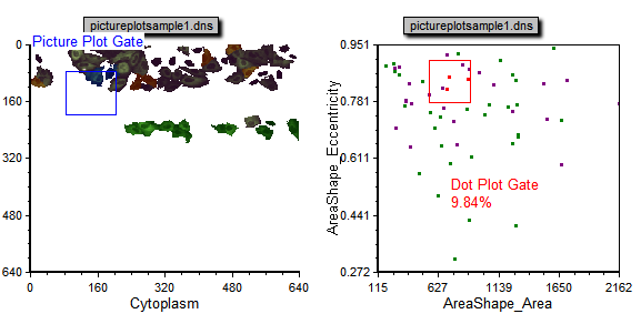图T26.31 Picture Plot and Dot Plot After Adding a New Range to the Selected Cells Gate (把一个新的范围添加到选中的细胞门后的图像绘图以及点状图)