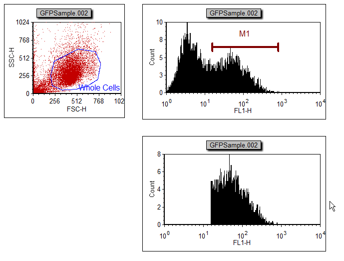 图T7.10  Lower Right Histogram Gated on GFP(+) (右下方的绘图有GFP(+)门)