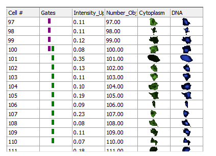图T26.29 Selected Cells Range Gate Displayed as a Green Box in the Gates Column (选中的细胞范围门在门列被显示为绿色矩形)