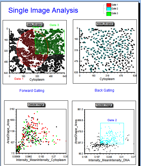 图T24.24  Example of Gating on a Picture Plot and Backgating from a Dot Plot to a Picture Plot (在图片绘图上进行门操作以及从点状图到图片绘图的后置门操作)