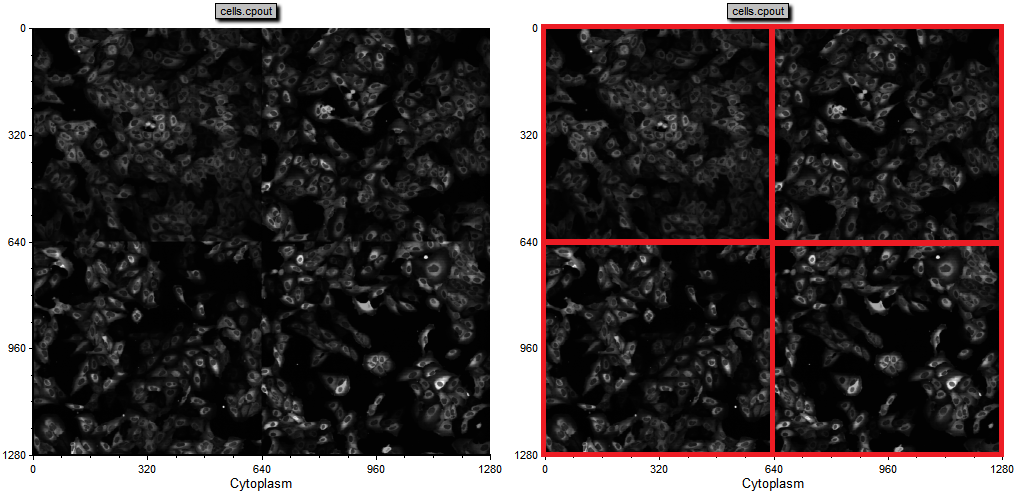 Figure T24.66 The picture plot has been gated on Gate 1, well A01, of the heat map. Four image fields may be observed in the image (left) or as marked by the red boxes (right).