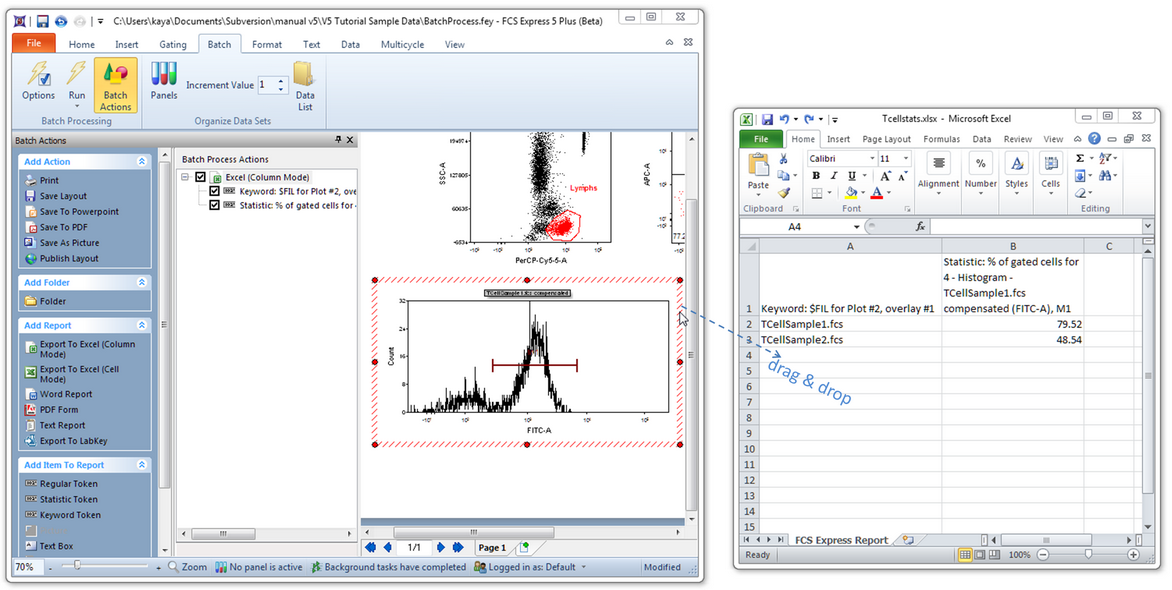Figure T9.38  Dragging and Dropping a Plot Image from FCS Express to an Excel Spreadsheet
