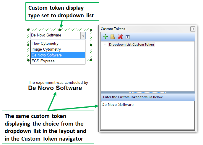 Figure 19.52 The value of "De Novo Software" was chosen from the dropdown list. The value was updated in the Custom Token navigator and also in the secondary text box containing the token.