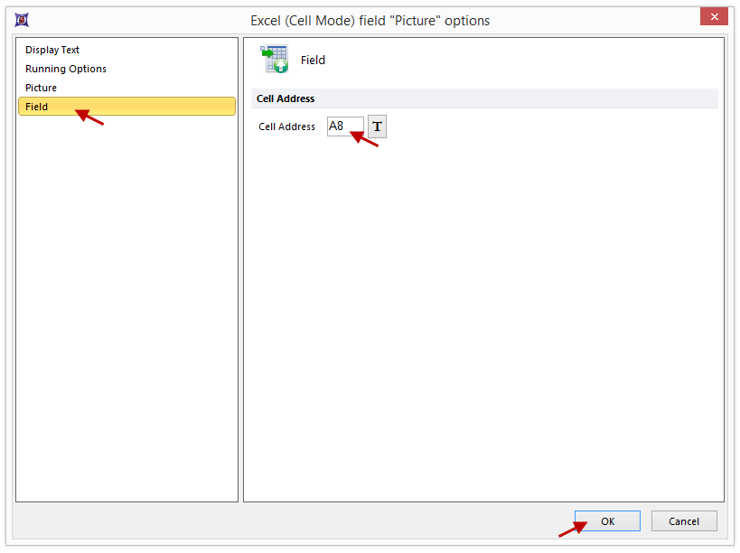 Figure T9.28  Setting the Excel Cell Address for the Picture Field