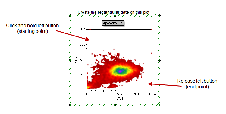 Figure T4.4  Creating Rectangular Gate