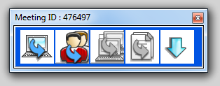 Figure 30.11  Minimized Portal Window