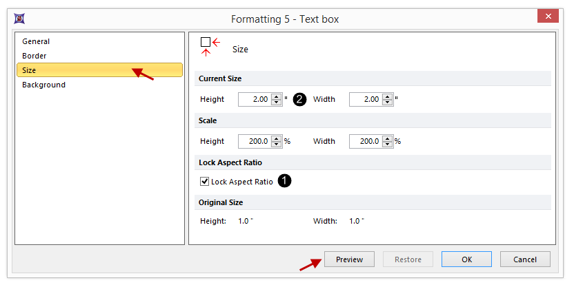 Figure T5.12  Formatting Text Box Dialog -- Size Category