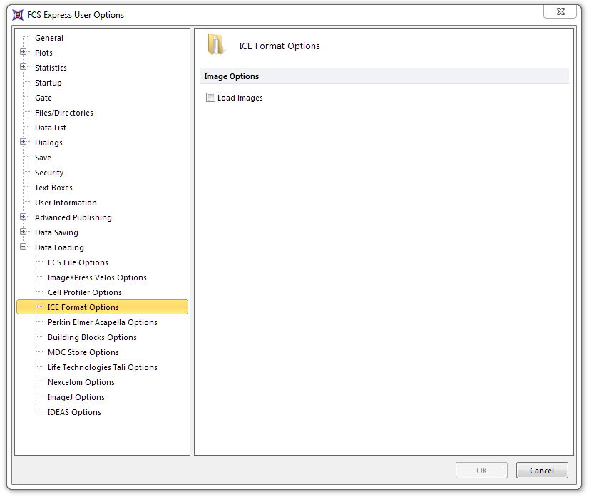 Figure 8.37  ICE Format options