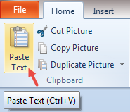Figure T1.10  Pasting Objects