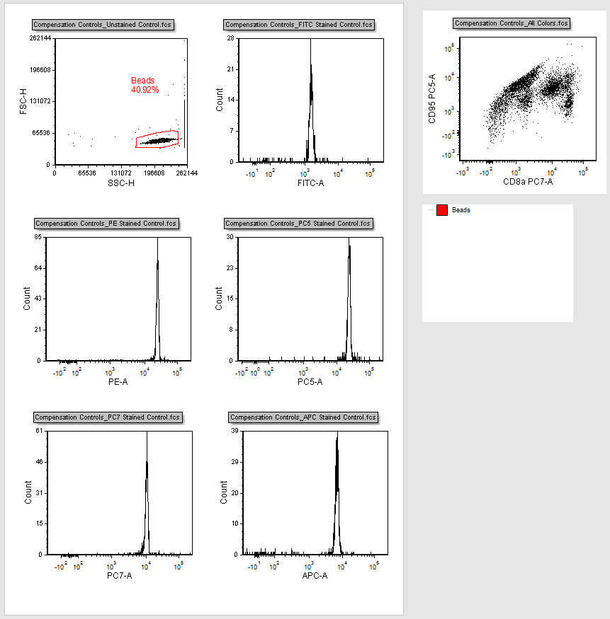 Figure T8.6  Autocomp.fey Layout