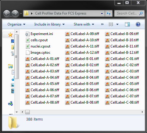 Figure T24.6A  cells.cpout, nuclei.cpout, and Image.cptoc Files were Created. Experiment.ini was Downloaded.