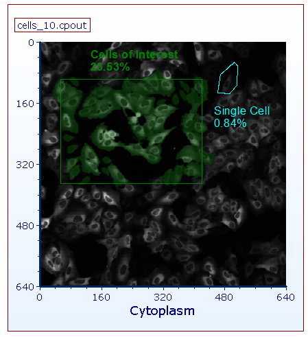 Figure 31.5  Single Cell Gate Drawn on a Picture Plot