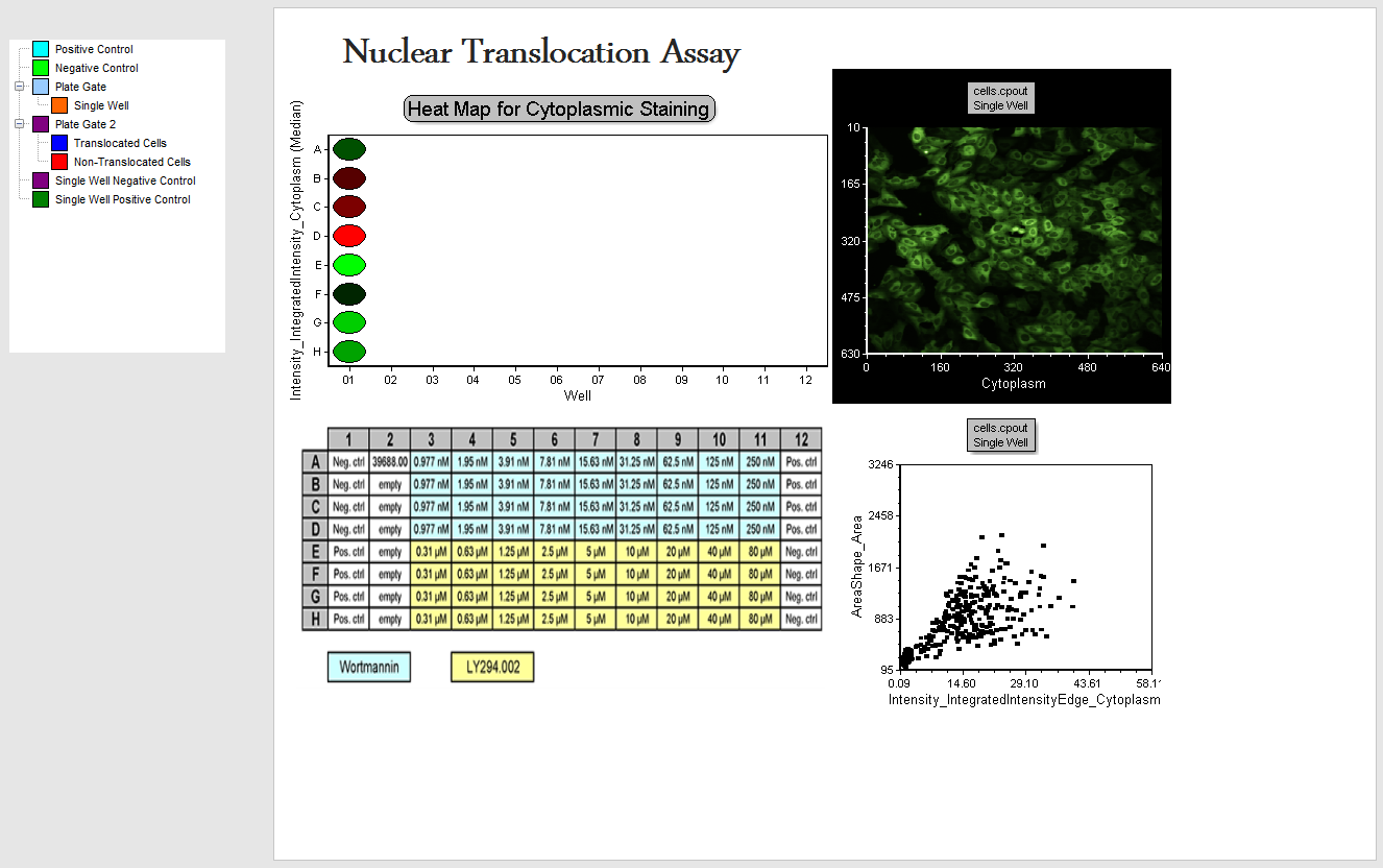 Figure T28.33 The Experiment Design Layout Page 