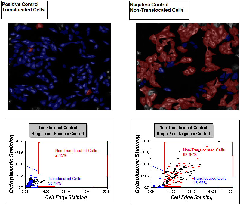Figure T28.42   Display of Gates on Dot Plots and Gated Cell in Picture Plots