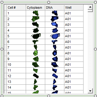 Figure T28.48  Data Grid Configured to Display Cell Images in a Cell Gallery