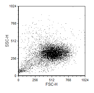 Figure 8.75  An Example 2D Plot Before Magnification