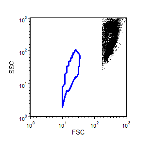 Figure 9.68  Distorted Gate in Non-native Space