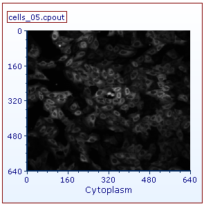 Figure T24.23  Example of the Cells (5 Minute Time Point) Picture Plot