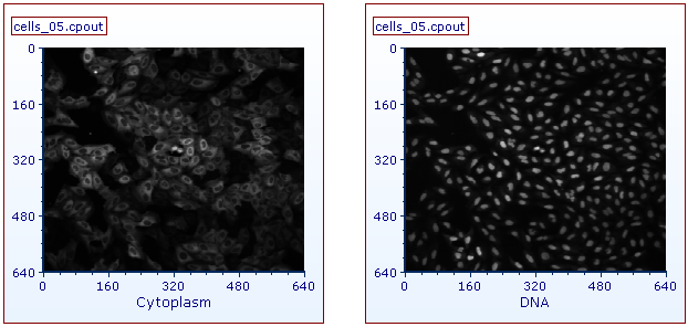 Figure T24.23b Picture plots of the cells_05.cpout file depicting cytoplasm and DNA