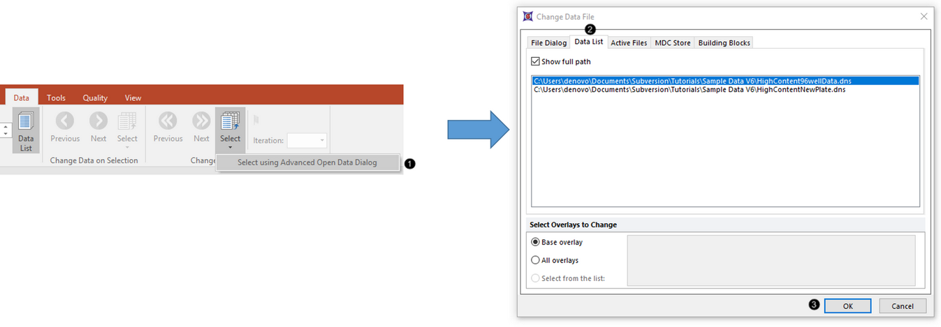Figure T18.13b -  Selecting a .dns file via the Advanced Open Data dialog