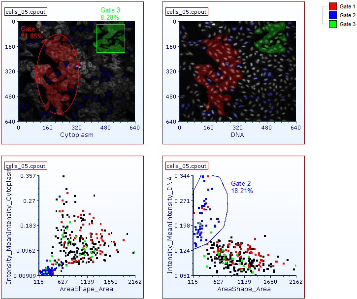 Figure T24.24  Example of Gating on a Picture Plot and Backgating from a Dot Plot to a Picture Plot