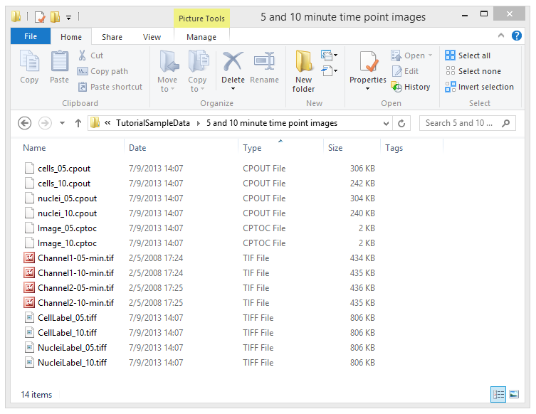 Figure T24.18  Example of Output Folder once CellProfiler Analysis is Complete