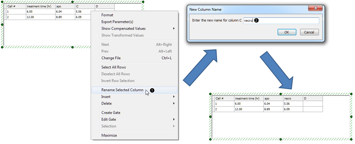 Figure 47.  Renaming a column in the Custom Data Grid