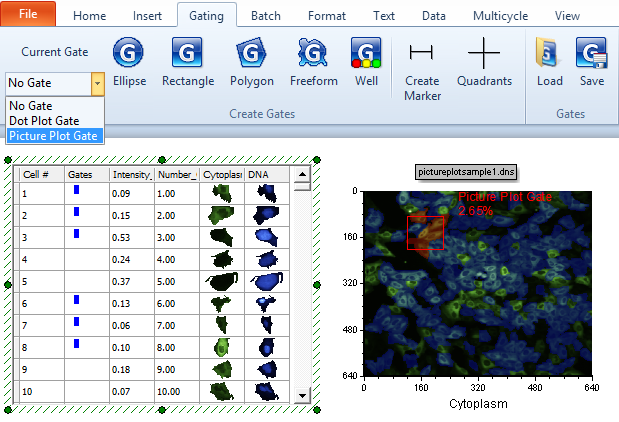 Figure T26.24 Apply Picture Plot Gate to the Data Grid