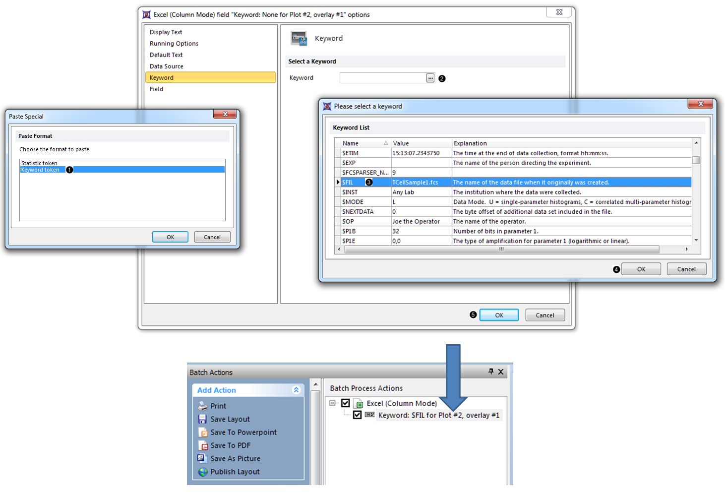 Figure T9.34  Adding a keyword token to the report