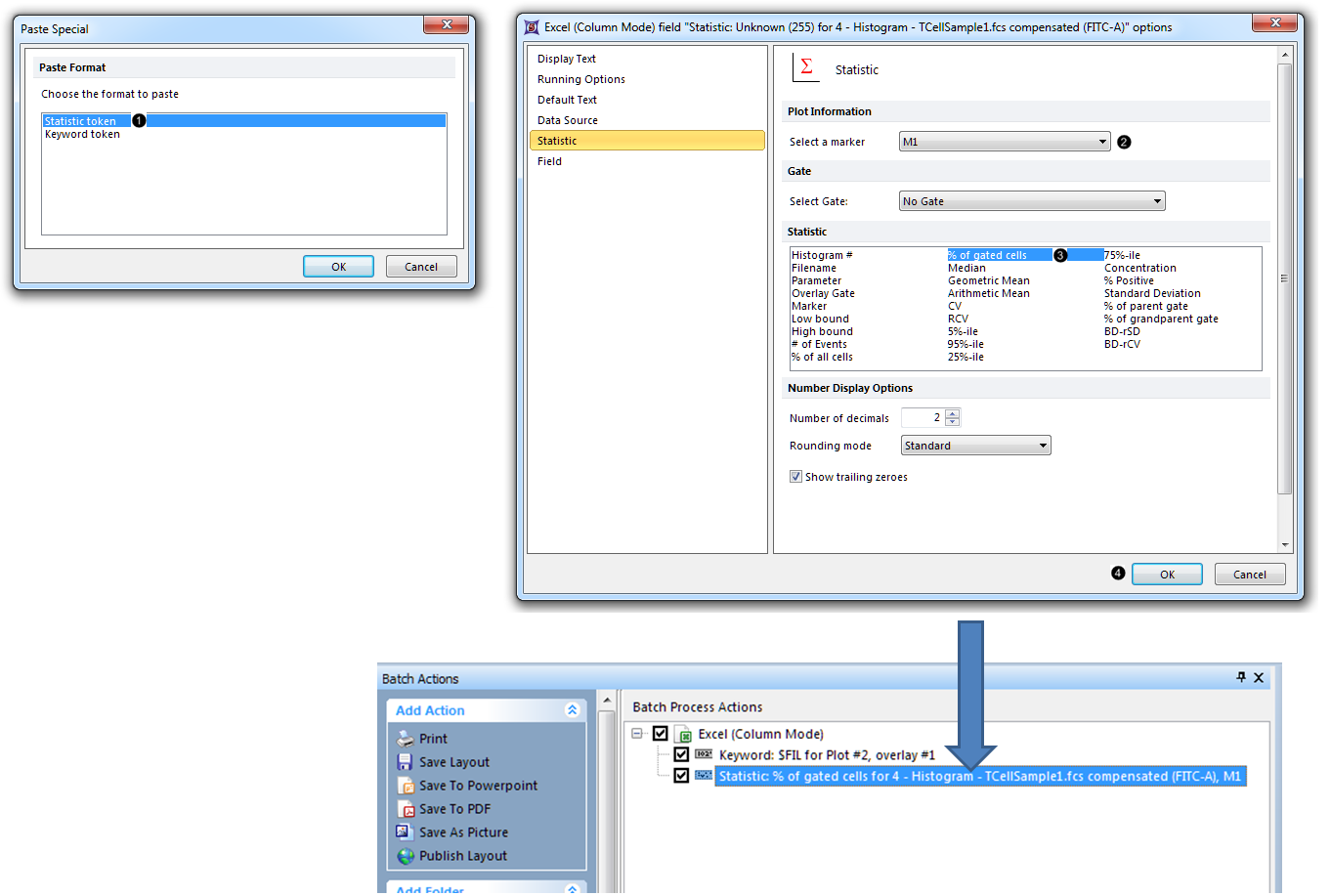 Figure T9.35 Adding a statistic token to the report