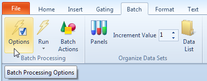 Figure T29.48  Accessing Batch Processing Options