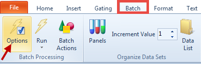 Figure 12 - Batch Processing Options Button