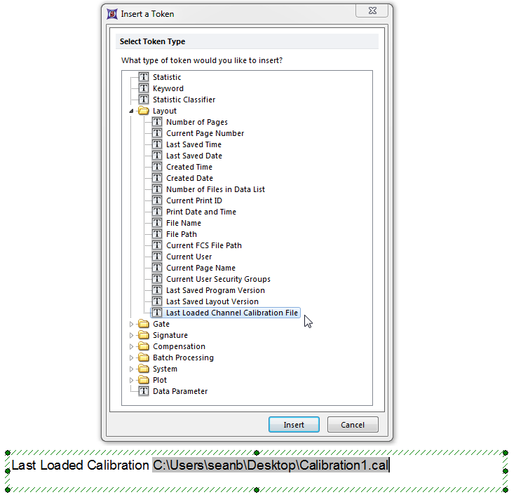 Figure 15.6 Using the Last Loade Channel Calibration File token type. The text box below the Insert a Token dialog is showing the file name and path of the last loaded calibration file used in the layout.