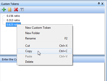 Figure T17.16  Copy Custom Token(s) Item in the Pop-up Menu