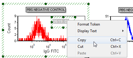 Figure T15.22  Copying a Token Using the Pop-up Menu