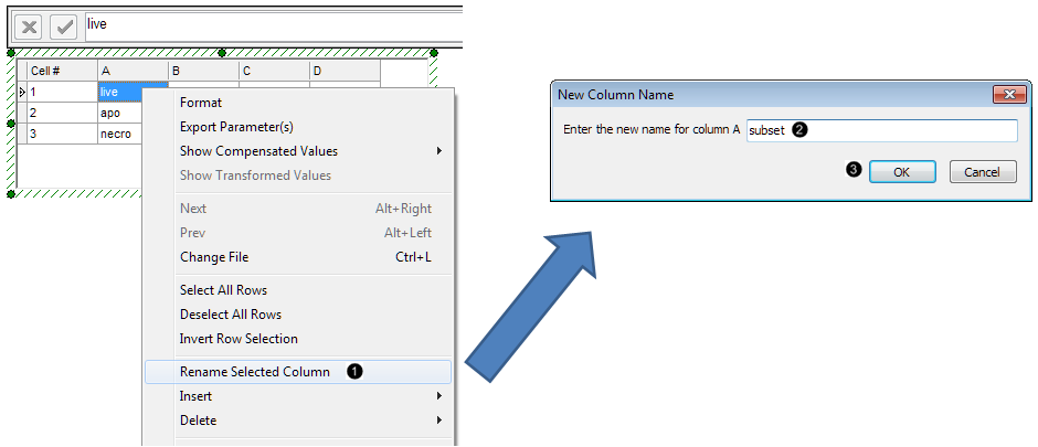 Figure 8.  Retitling a column in the Custom Data Grid